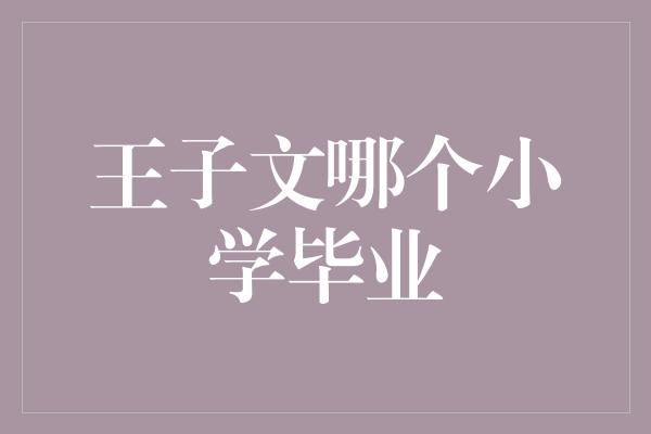 王子文哪个小学毕业