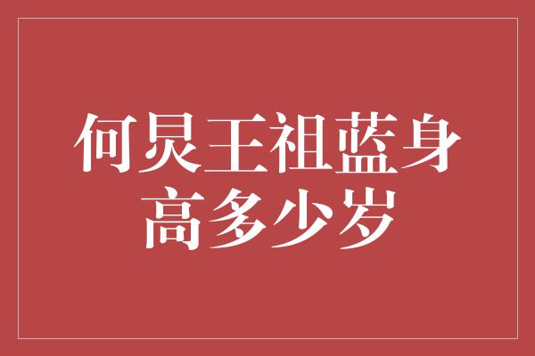 何炅王祖蓝身高多少岁