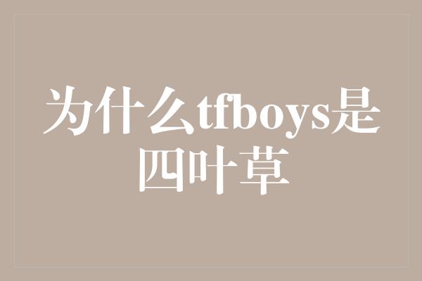 为什么tfboys是四叶草