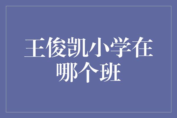 王俊凯小学在哪个班