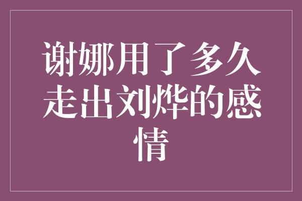 《谢娜用了多久走出刘烨的感