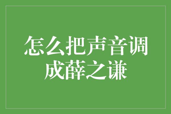 怎么把声音调成薛之谦