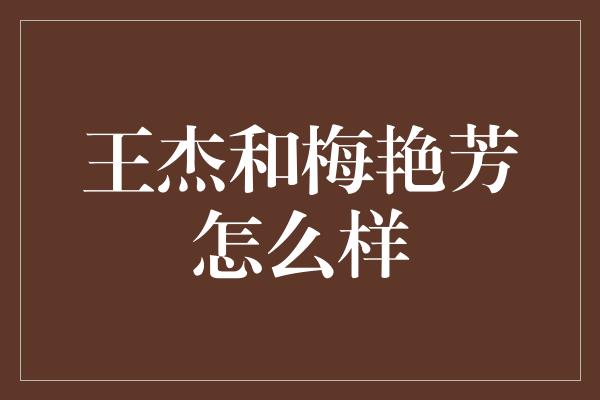 王杰和梅艳芳怎么样