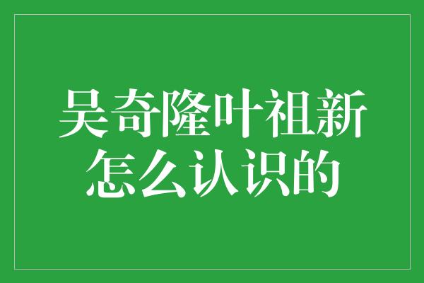 吴奇隆叶祖新怎么认识的