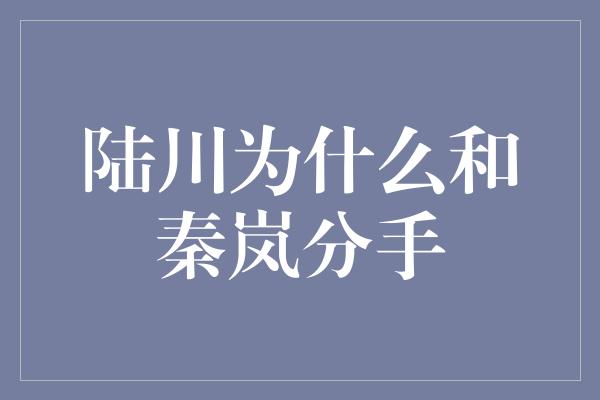 陆川为什么和秦岚分手