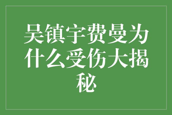 《吴镇宇费曼为什么受伤大揭