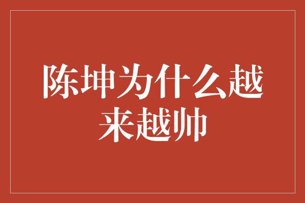 陈坤为什么越来越帅