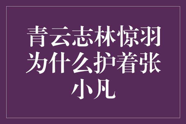 青云志林惊羽为什么护着张小凡