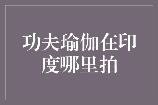 《功夫瑜伽在印度哪里拍》