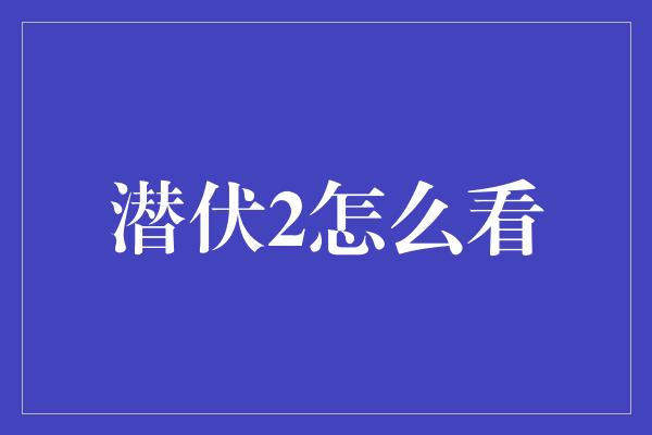 潜伏2怎么看